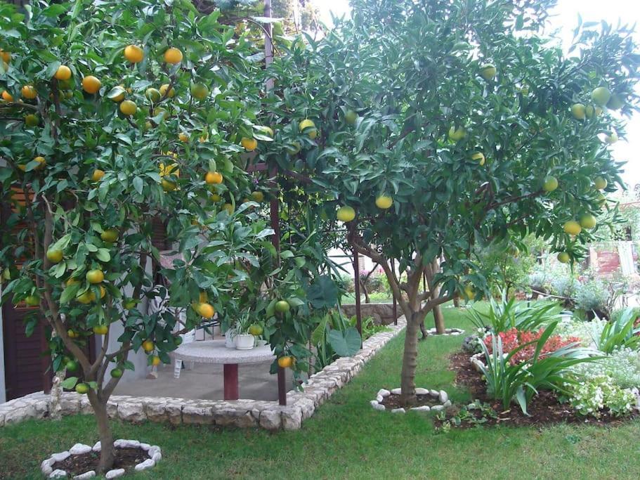 Apartment Mia - Spacious Apartment On 85 M2 With Beautiful Sea View โตรกีร์ ภายนอก รูปภาพ